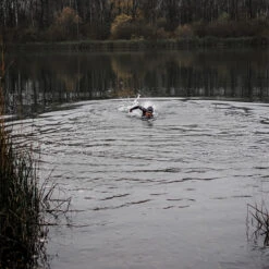 ORCA Mens Athlex Flow Triathlon Wetsuit 11 ORCA Mens Athlex Flow Triathlon Wetsuit -Marine Sports Gear 40829 202320Orca20Mens20Athlex20Flow20Triathlon20Wetsuit20MN14TT4220 20Silver20Total20333.2000x2000