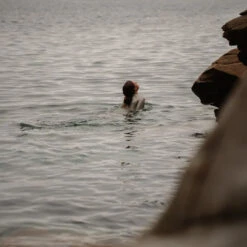 Womens Nikki Van Dijk Bikini Cut 1mm Front Zip Springsuit Wetsuit -Marine Sports Gear 45826 120mm20Springsuit20Bikini20Cut20Front20Zip20Moon202010.2000x2000